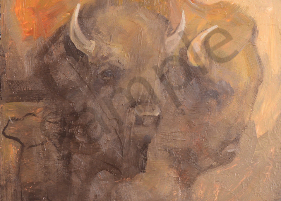 Bison0388 Art | Mary Roberson
