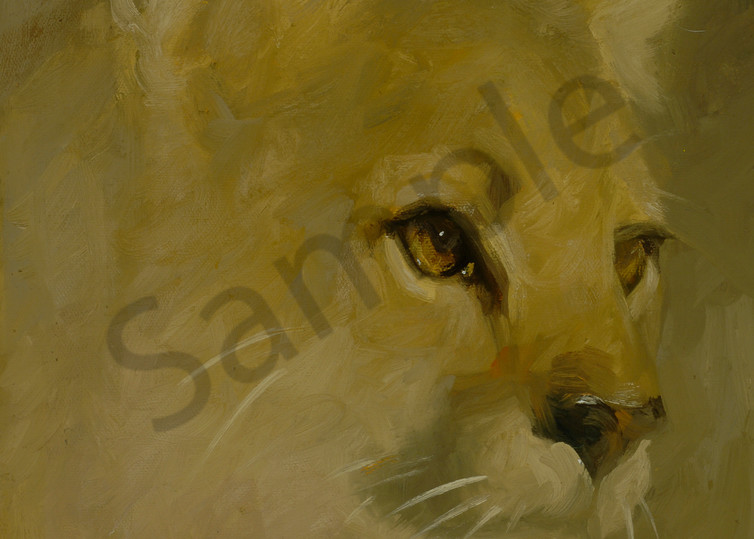 Whiskers Loves Animal Planet Art | Mary Roberson