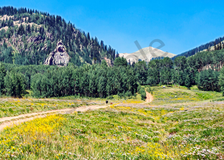 Country roads through alpine meadows-shop art/masonandmasonimages.com
