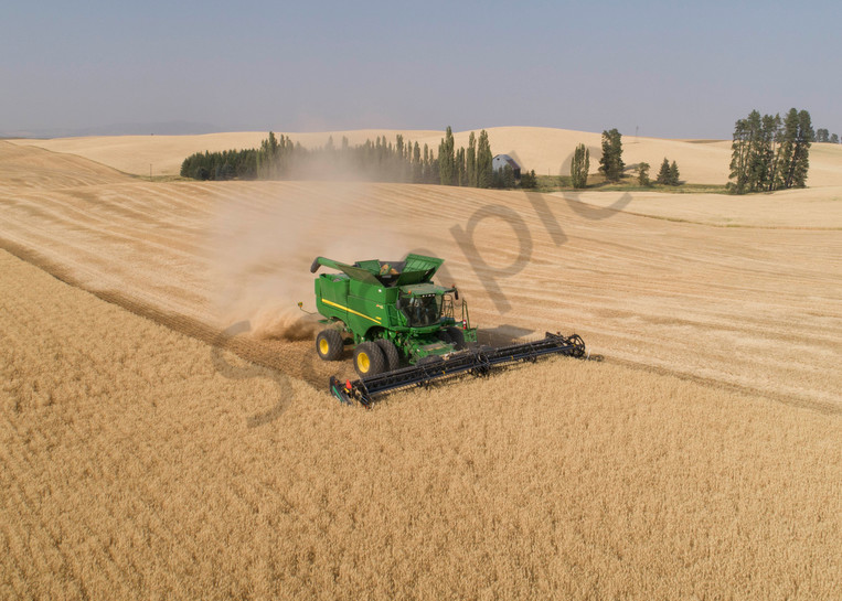 Aerial view of a John Deere combine cutting wheat on a sunny afternoon, Spokane County, Washington