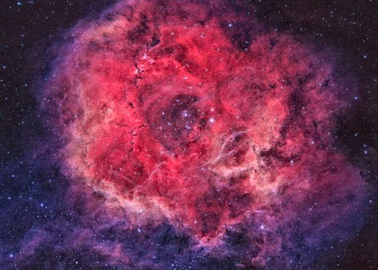 Rosette Nebula 1 Art | Dark Sky Images