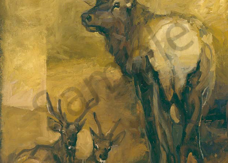 It S Just An Elk Thing Art | Mary Roberson