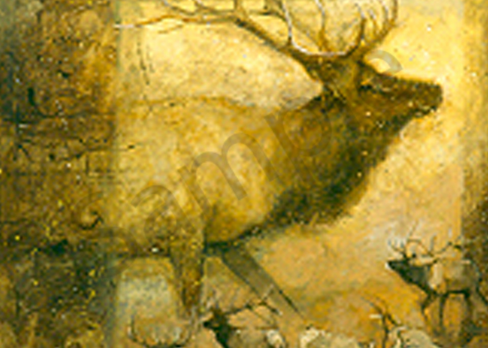 An Elk Story Art | Mary Roberson