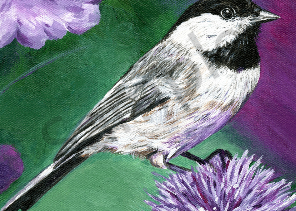 Acrylic 8" square portrait painting of a chickadee by artist Mary Anne Hjelmfelt.