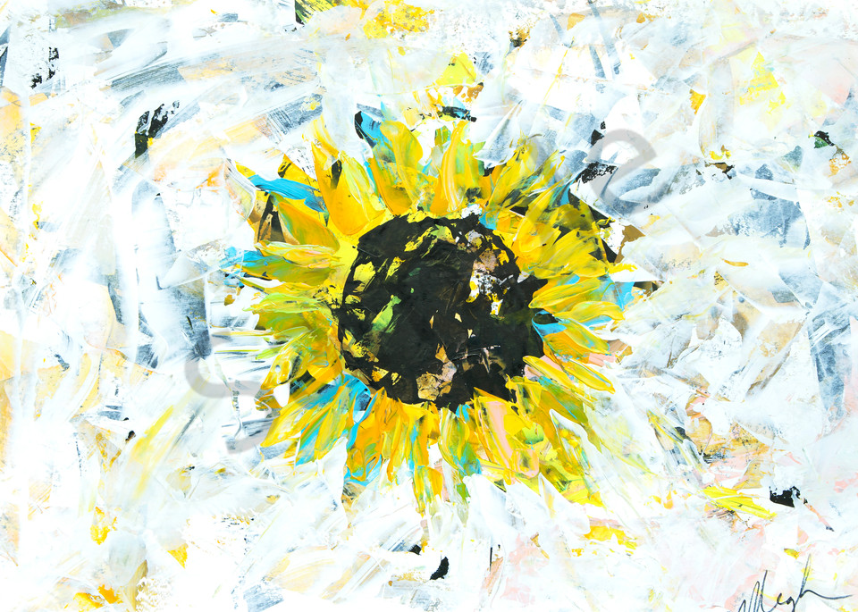 Kara / Sunflower