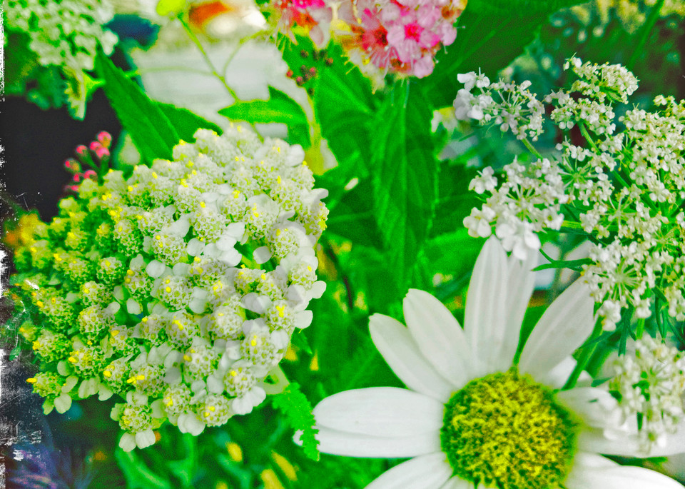 Summer Flower Bouquet|Fine Art Photography by Todd Breitling
