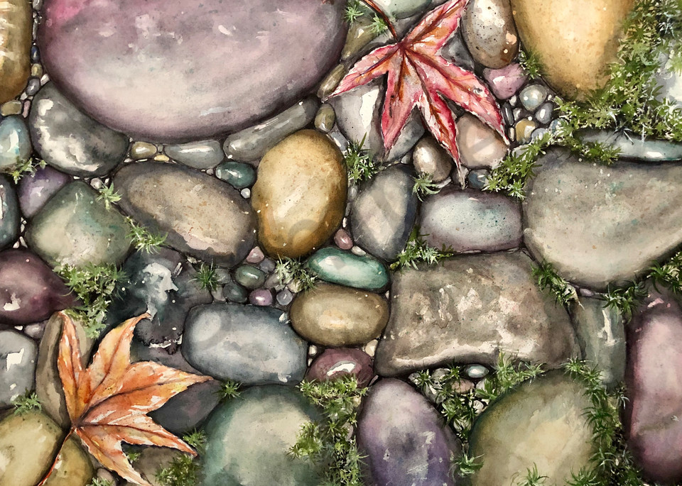 River Rocks and Maple Leaves