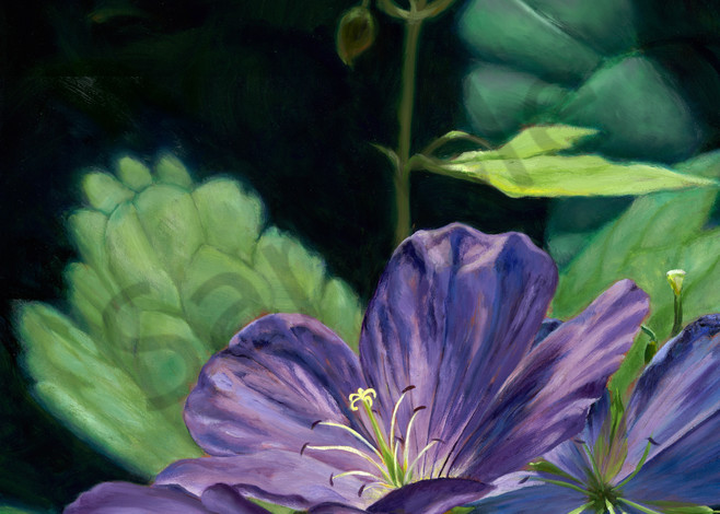 Purple Wildflower Close Up: Shop Painting & Prints