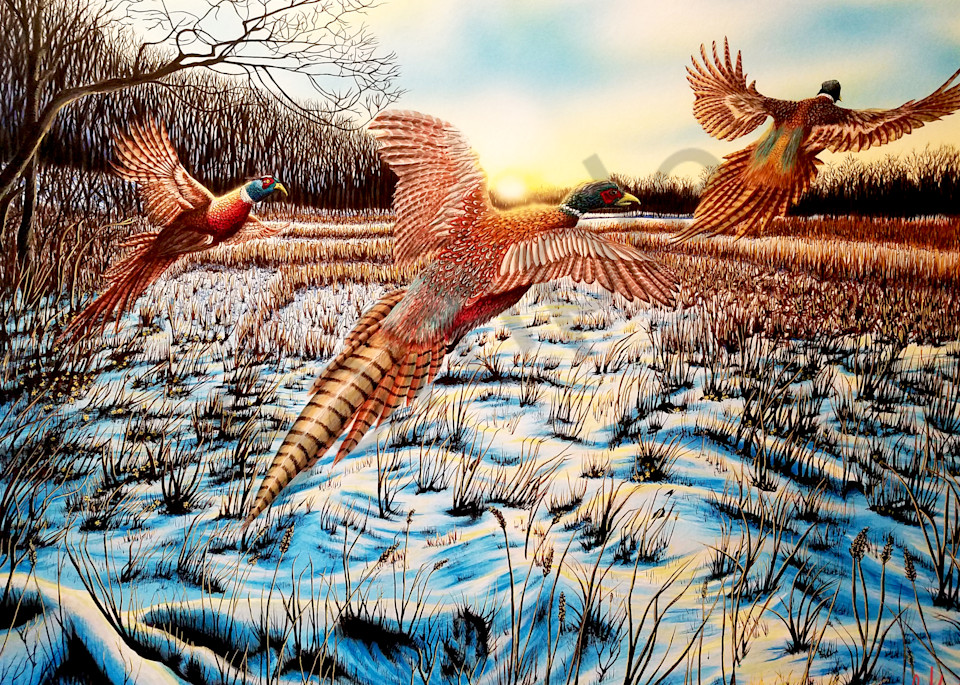 Pheasants In Michigan Art | Artisticknack LLC