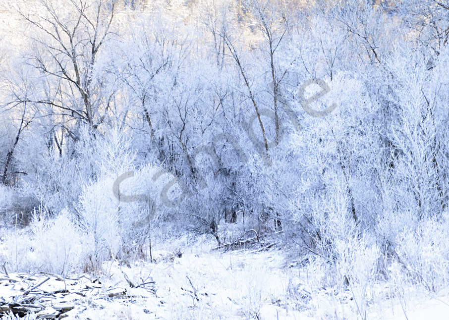 Hoar Frost Photography Art | LHR Images
