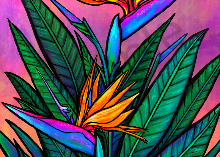 Technicolor Paradise Art | Swim Whimsey
