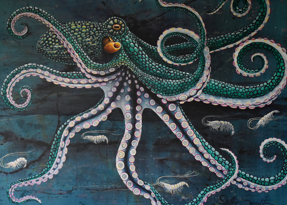 Shrimp Coctail Art | Shore Paintings