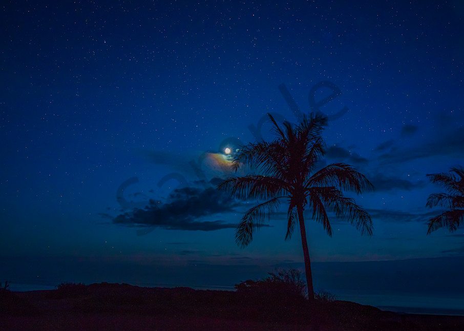 beach, palm tree, moon, stars, Kauai