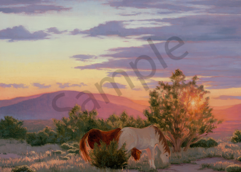 Two Mustangs At Sunset  Art | Terry Sauve Fine Art 