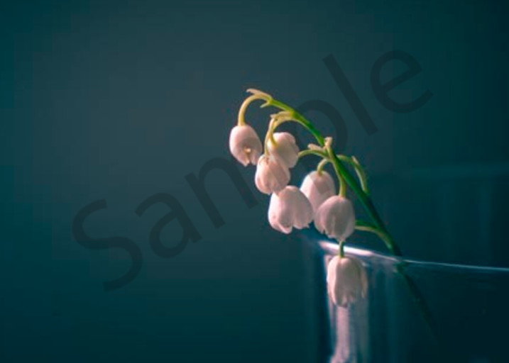 Lily Of The Valley  Art | AngsanaSeeds Photography