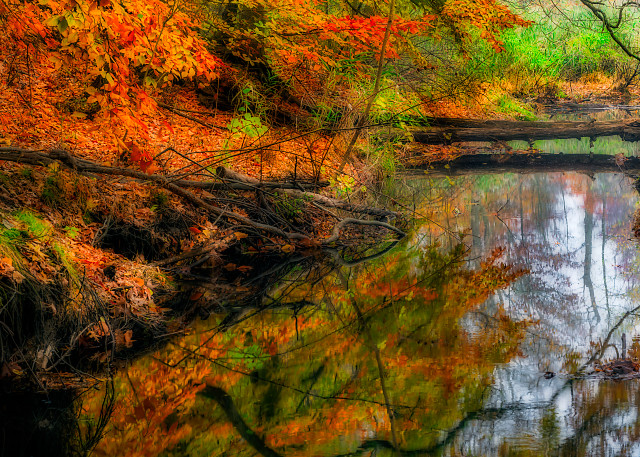 Fall scene reflecting in lake