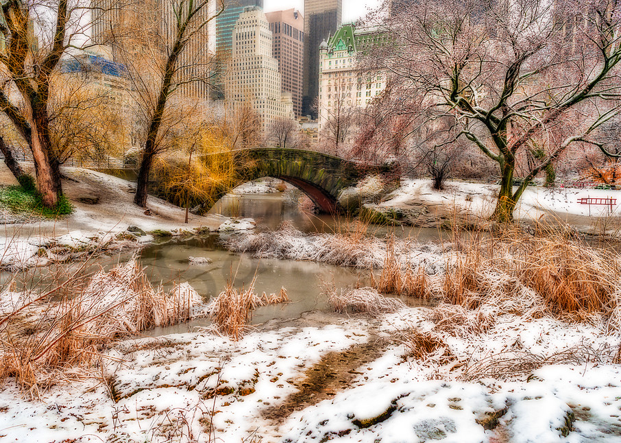 Classic Central Park winter scene