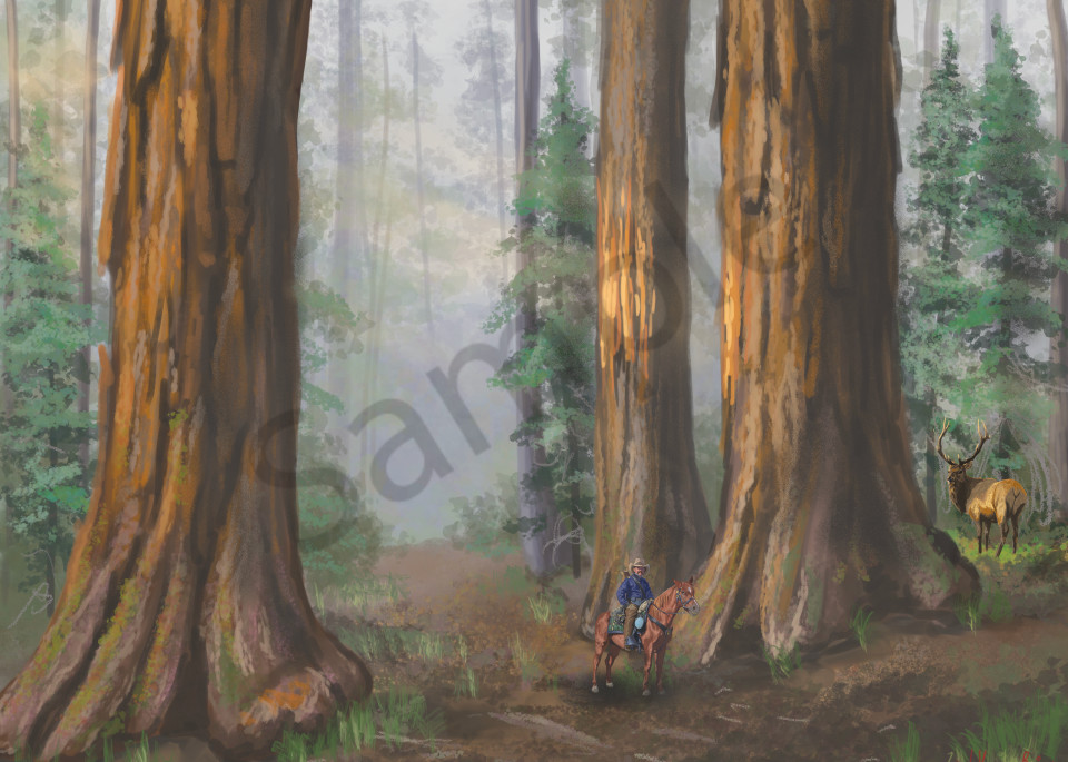 Old cowboy on an evening ride through Sequoia National Park Print