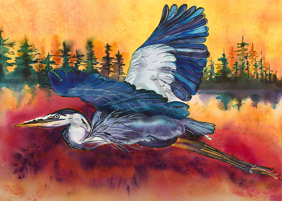 "Great Blue Heron at Sunrise" fine art print  by Kelly Wolske.