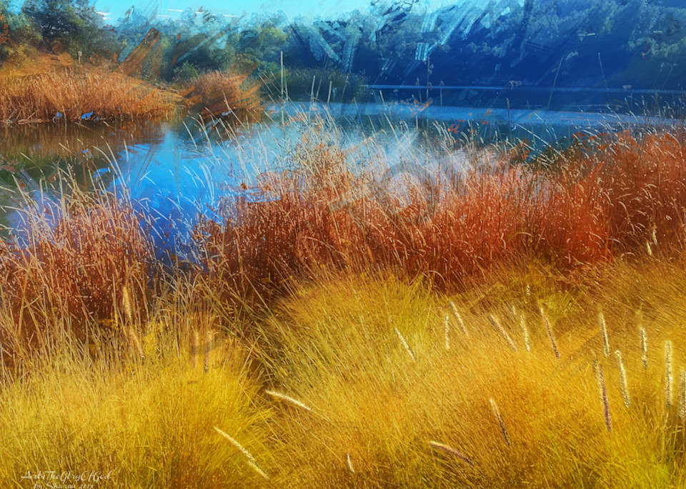 Dixon Lake Winter Reeds - digital painting photograph