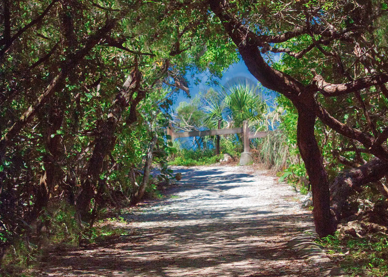 Shaded Path Photography Art | It's Your World - Enjoy!