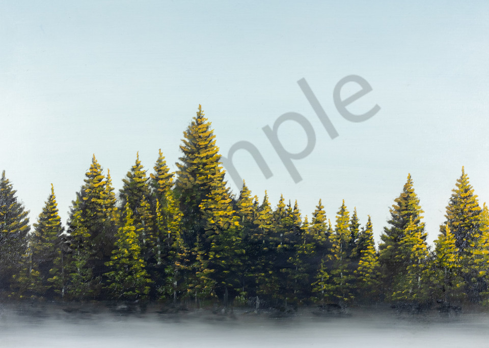 Pine, morning, fog, west, sunrise, pine trees, fog, smoke, clouds