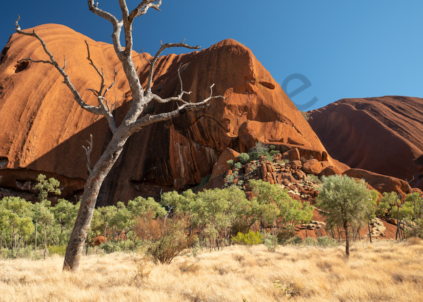 Uluru Up Close Photography Art | Tolowa Gallery