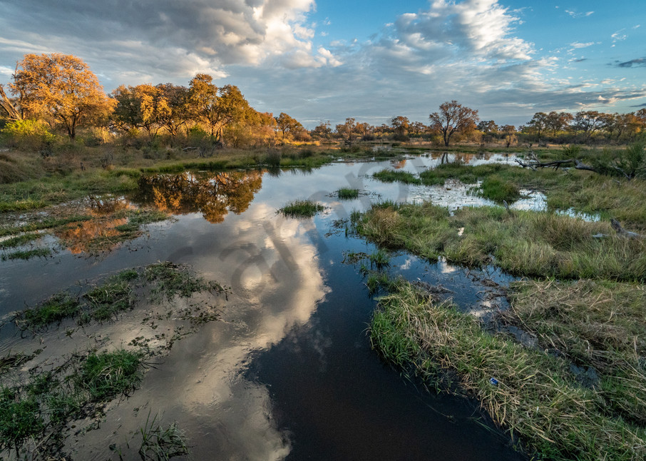 Kwai River, Botswana Photography Art | Tolowa Gallery
