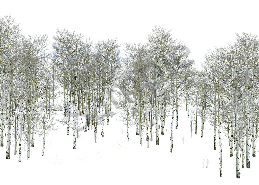 Winter Walk Art | Cunningham Gallery