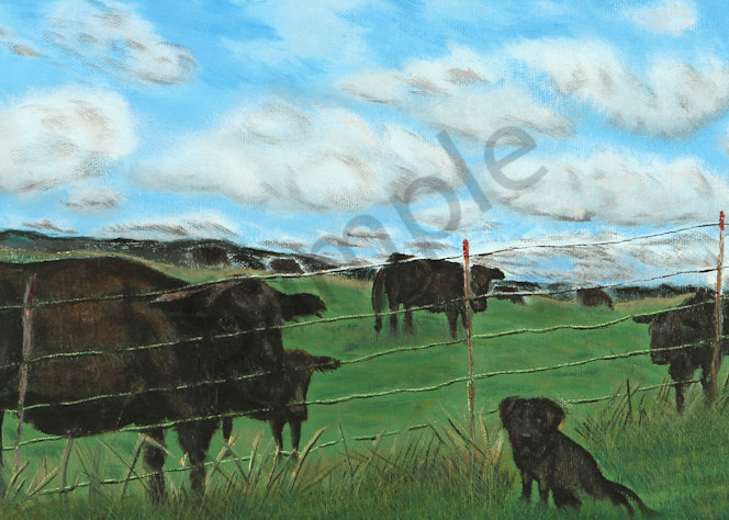 Are You My Momma?  Black Lab in the Pasture with Black Angus Cows by Marie Stephens Art