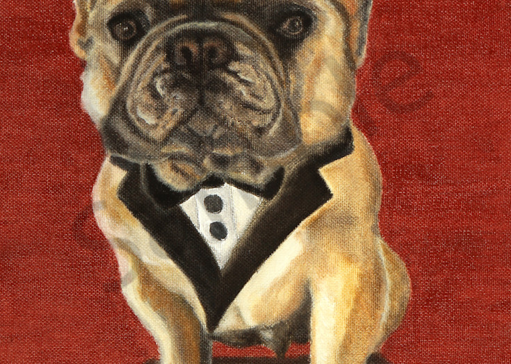 Who's Ready to Party?  This French Bulldog in a Tuxedo is!