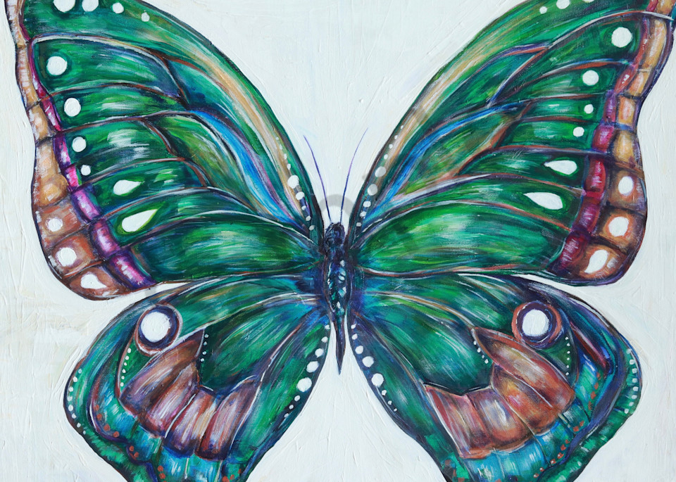 Gabriel S Butterfly Art | Art By Dana