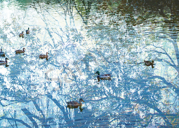 Azure Pond Art | Cincy Artwork