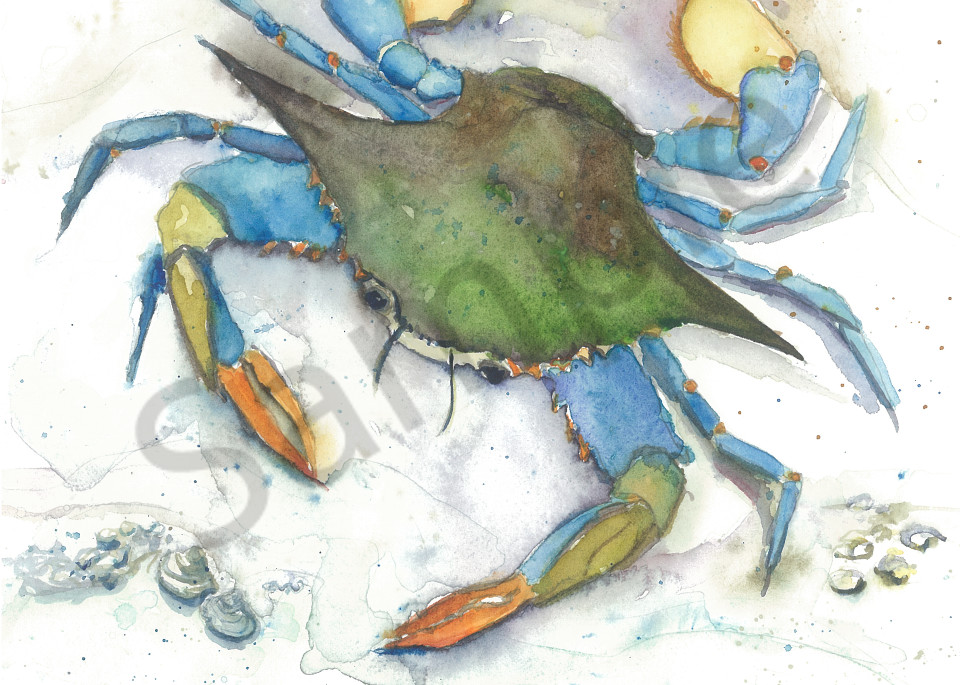 Blue Crab I Art | Jackie Braden  Fine Art