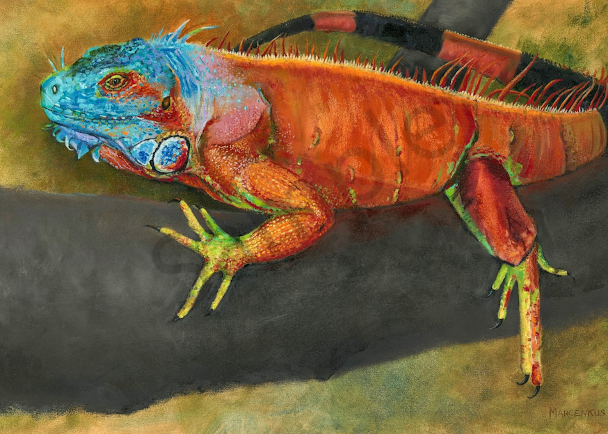 Iguana Chillin' Art | Al Marcenkus Art, LLC