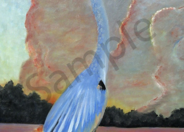Blue Heron Art | Al Marcenkus Art, LLC