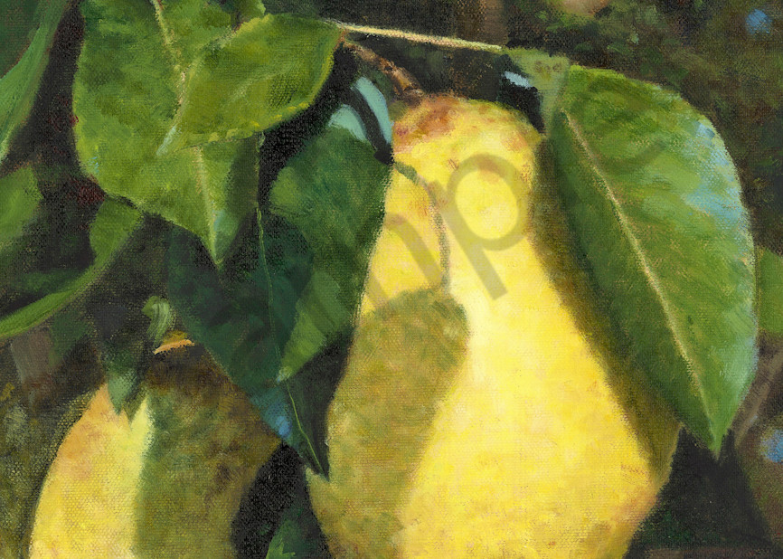Two Pear  Art | Al Marcenkus Art, LLC
