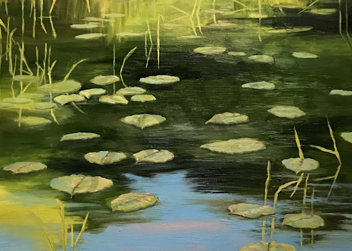 Hobb's Lily Pond, Maine, Print