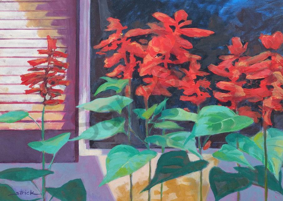 Salvia In The Window Box Art | Strickly Art