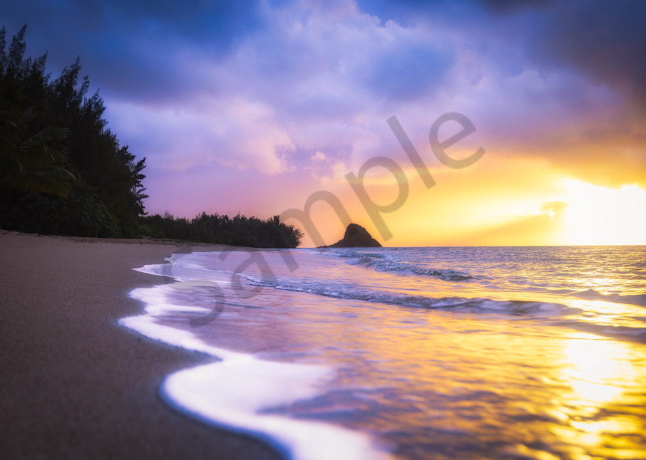 Dreaming At Sunrise | Rs29 Art | Pictures Plus
