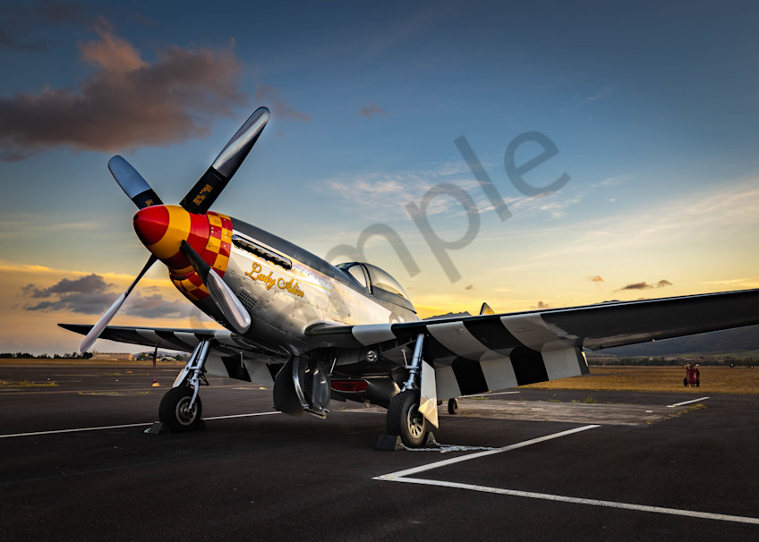 P 51 Asleep In Hawaii | Rs36 Art | Pictures Plus