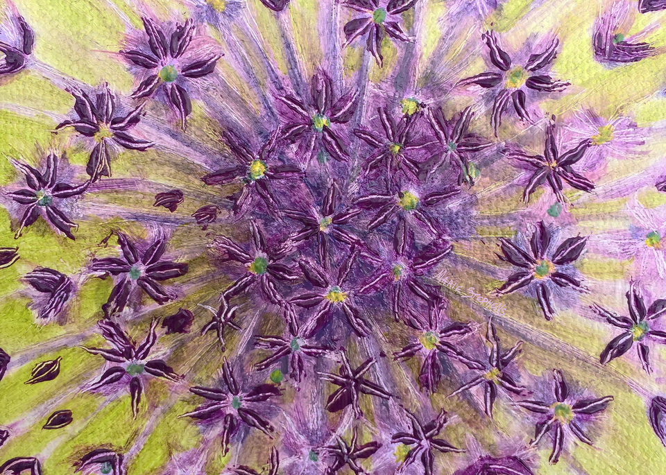 Order Allium Art,  Firework,  by Iowa Artist Marie Stephens