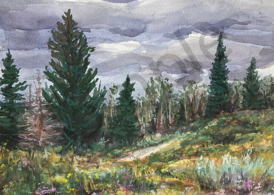 Fine Art Print "Alpine Meadow"