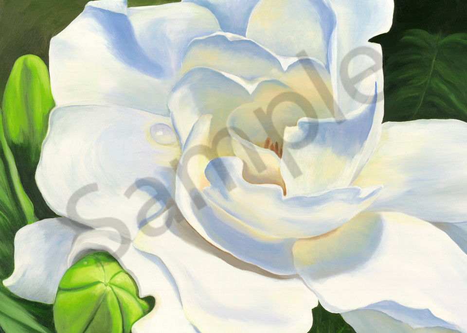 Fragrant Beauty, white flower, gardenia, print