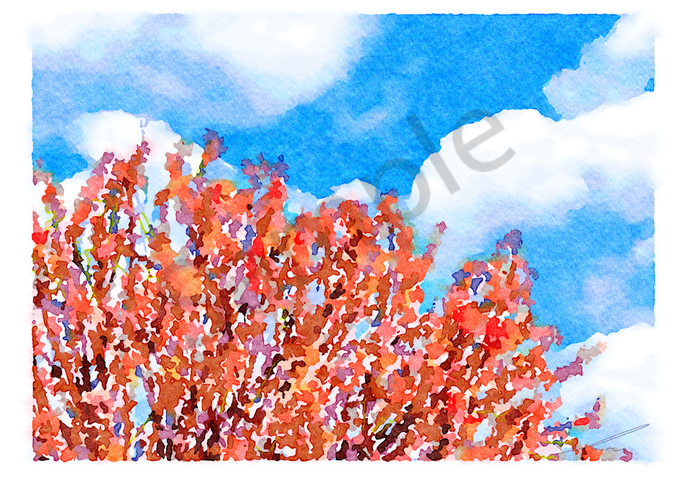 Cherry Blossom Ii Art | moorattitude