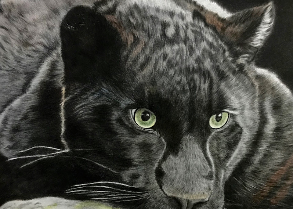 Black Jaguar Art | McAdamations