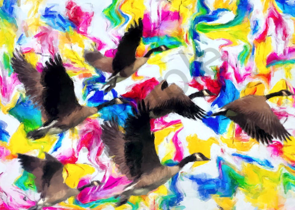 Geese Flying Over Key West Art | Windhorse