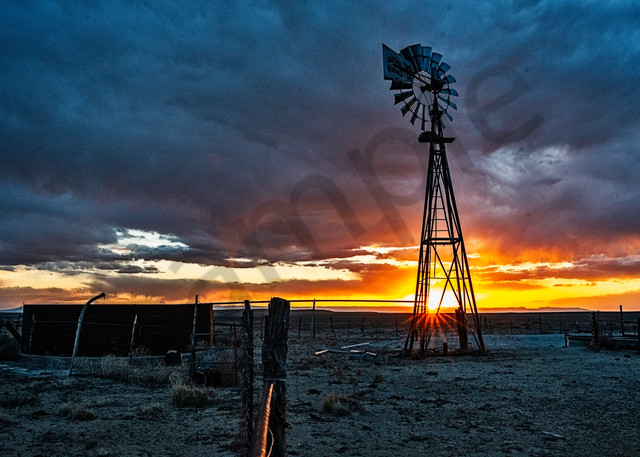 Windy Sunstar 2 Photography Art | Cerca Trova Photography
