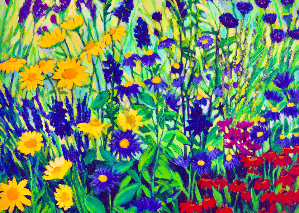Sunlit Meadow Art | Lee Ann Zirbes ARTIST