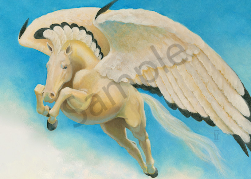 Mesa Pegasus detail